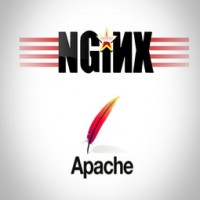 نصب Nginx و Apache روی دایرکت ادمین و سی پنل
