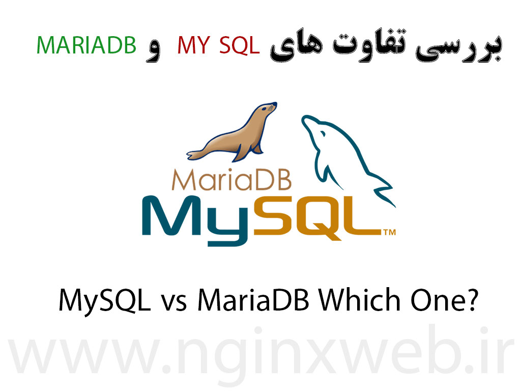 15210116439124 فرق و تفاوت بین Mysql و MariaDB در چیست؟ کدام را انتخاب کنیم؟