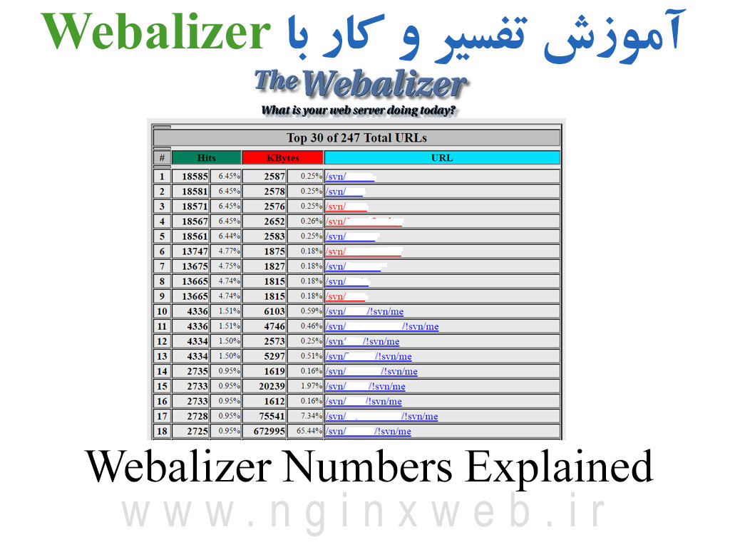 15686979586384 آموزش کار با آمارگیر Webalizer و تفسیر اعداد و آمار دقیق ترافیک