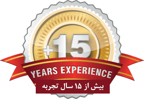 experience_15years.png (290×200)